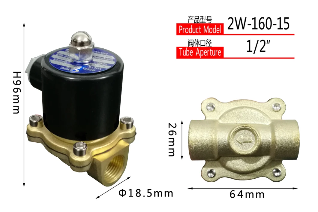 2W-160-15 Water Fountain Solenoid Valve Underwater Cu Alloy Valve Body