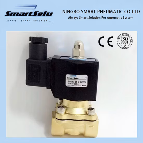 Vakuumverpackungsmaschine, Messing-Magnetventil für 12 V, 24 V, 220 V