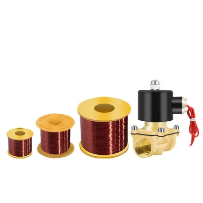 2W Magnetventil Wasserventilspule für 2W160-15 2W200-20 2W250-25 AC220V DC24V DC12V Kupferspule