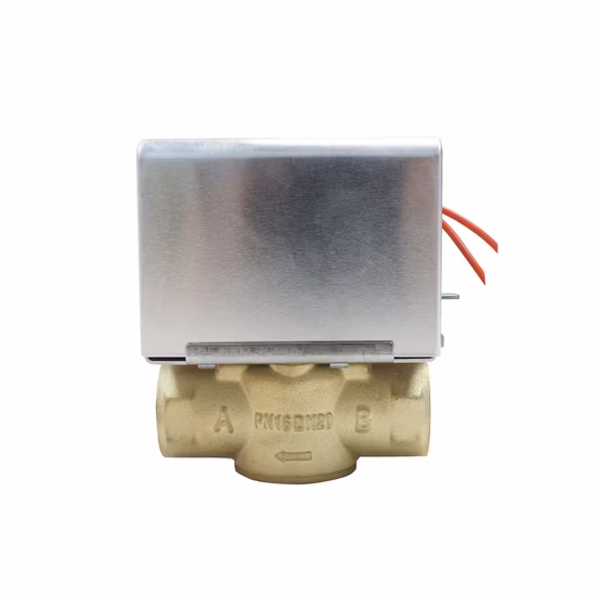 Hochwertiges Wasserdurchflusskontrollventil mit 2 Kabeln und NTC-Sensor Htw-W27