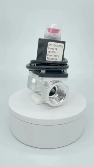 Hochwertiges Gas-Notfall-DC12V-Gasabschalt-Magnetventilspule, Magnetventil für Sicherheitsalarmanlage für zu Hause